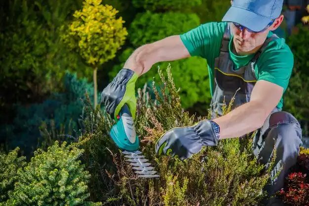 landscaping services Lucasville